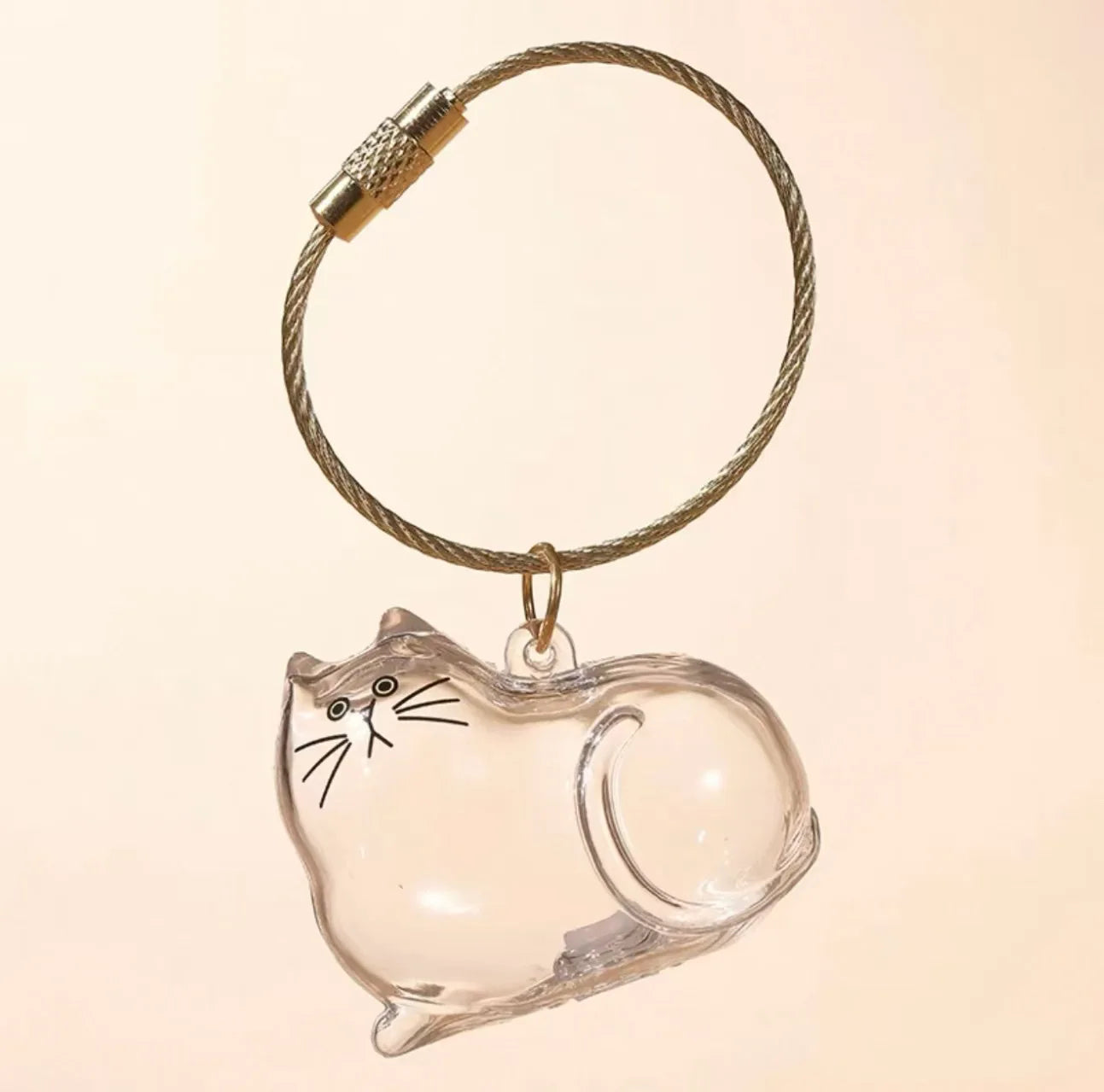 Cat Hair Storage Box Keychain