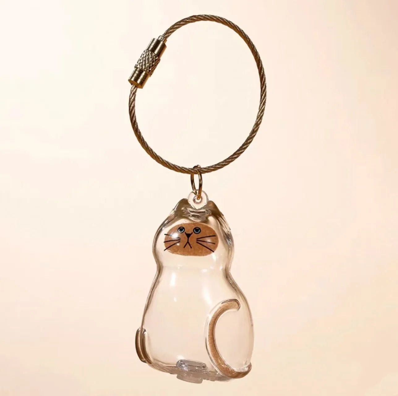 Cat Hair Storage Box Keychain