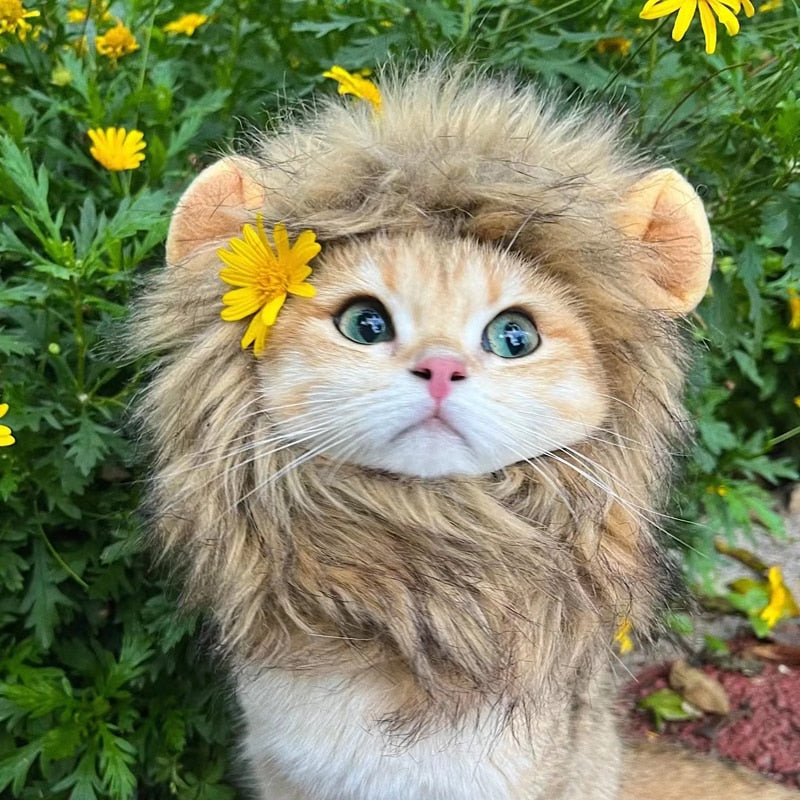 1pc Lion Head Design Pet Headwear