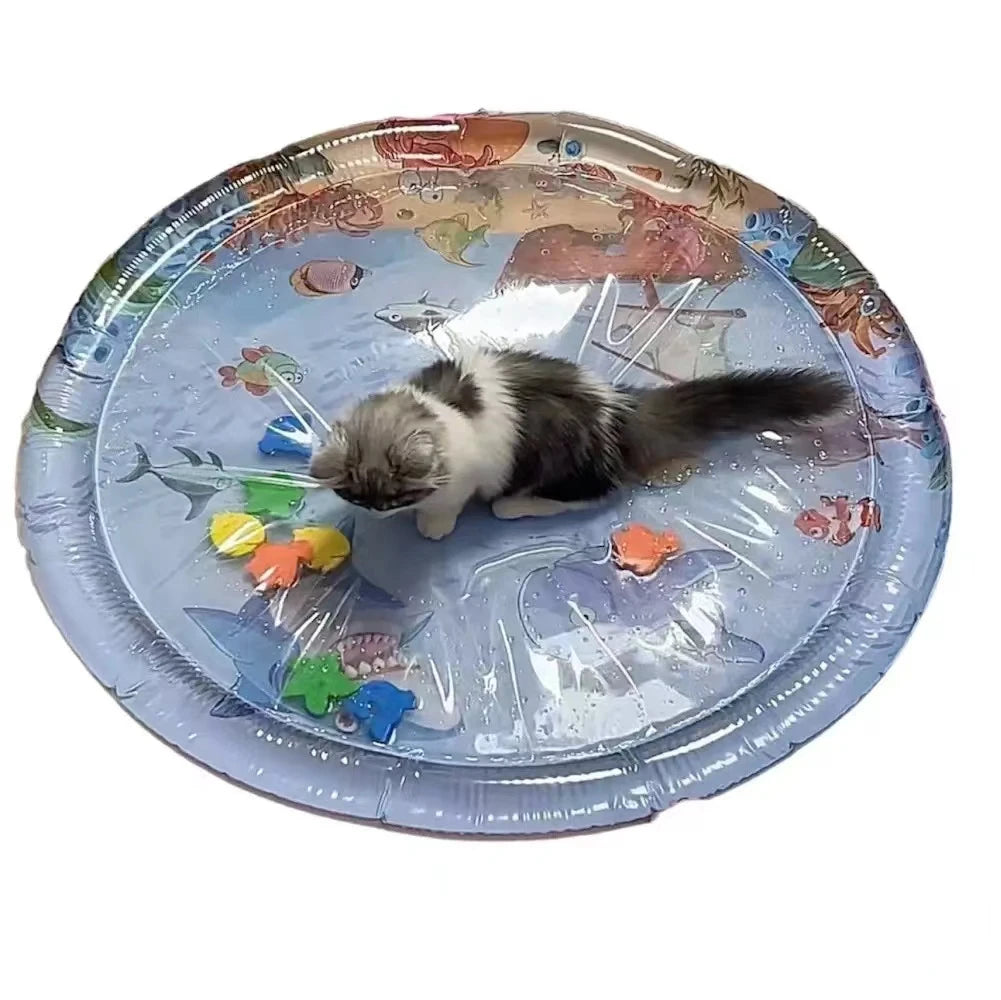 Pet Inflatable Water Play Mat