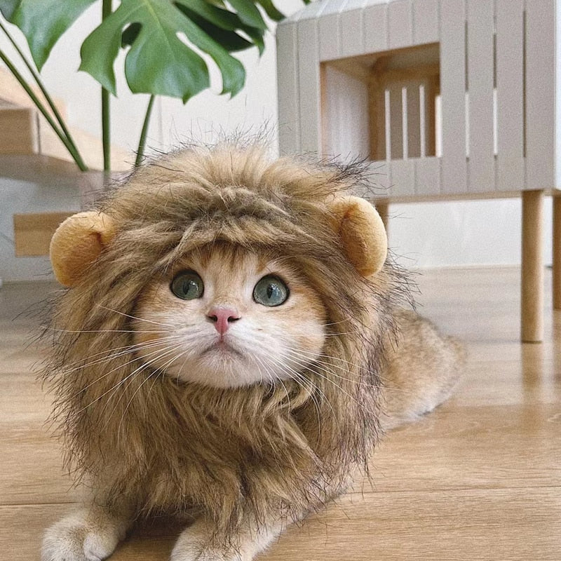 1pc Lion Head Design Pet Headwear