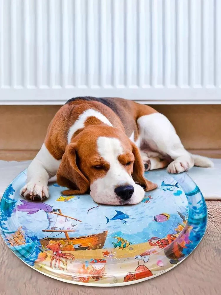 Pet Inflatable Water Play Mat