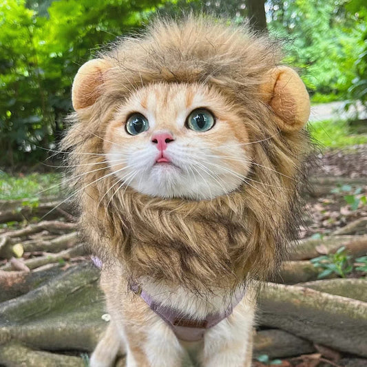 1pc Lion Head Design Pet Headwear